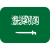 Flag for flag saudi arabia svgrepo com 1 100x100